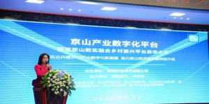 数实融合京山案例-辉莱搭建新一代县域数字新基建，构建政企民GBC多方共赢产业新生态