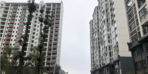 旅居房产成为商品房销售新宠