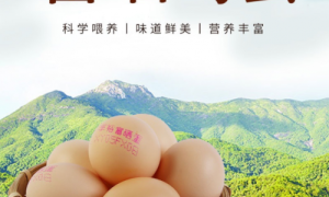 享裕：富硒鸡蛋，以标准化养殖，筑就餐桌安心之选