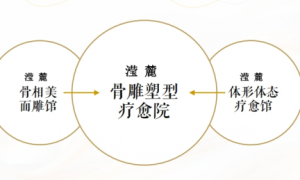 滢麓骨相美学：携手共赢，开启财富新机遇