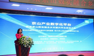 数实融合京山案例-辉莱搭建新一代县域数字新基建，构建政企民GBC多方共赢产业新生态